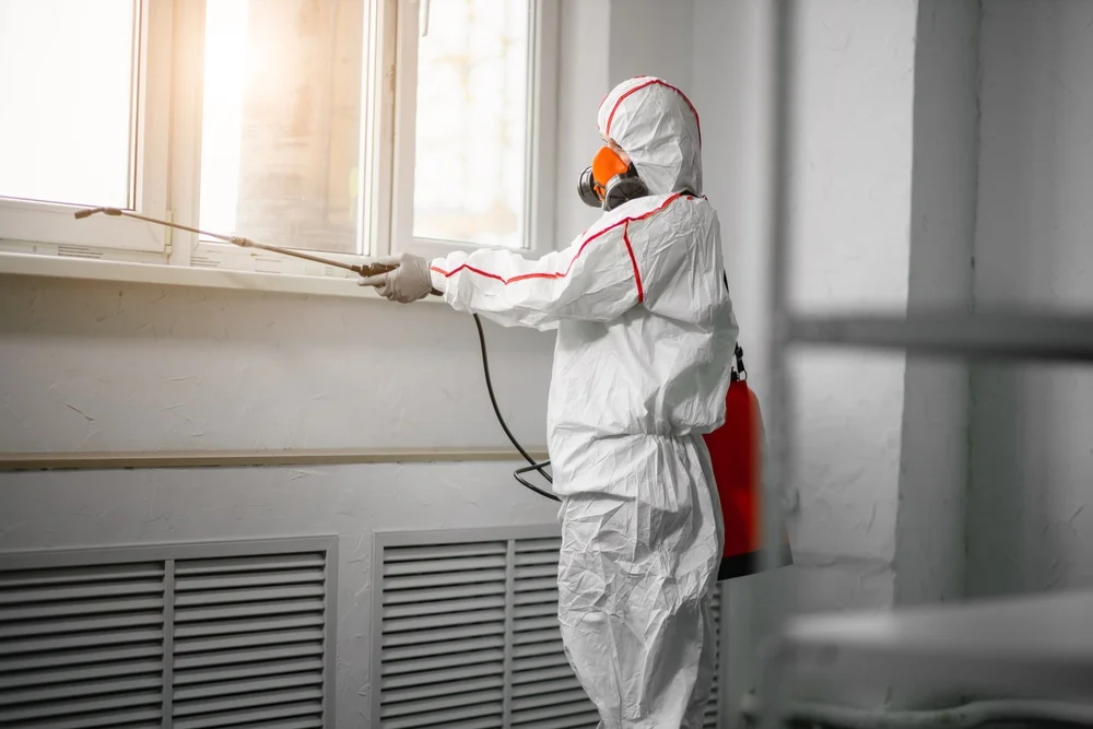 Professional mold remediation services in Gallatin, TN